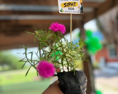 SIPAT 2026 